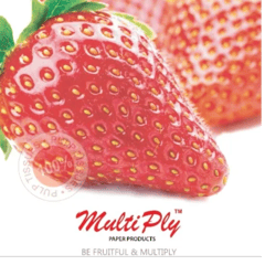 Multiply Paper Online